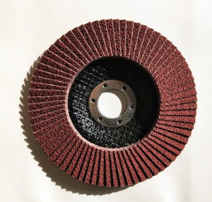 FLAP DISCS